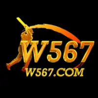 W567 Game